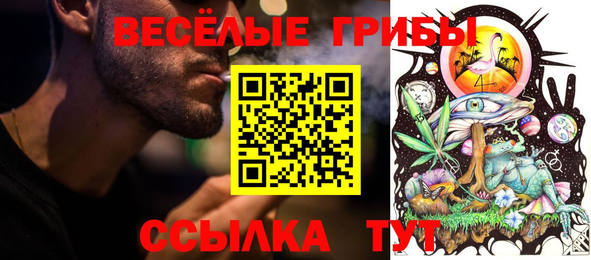 Псилоцибиновые грибы Psilocybe  Вход с VPN  Туапсе 